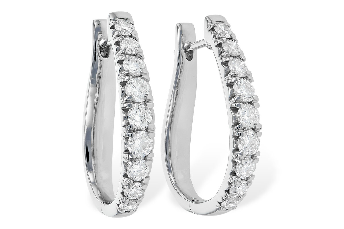 B244-96049: EARR 2.00 TW