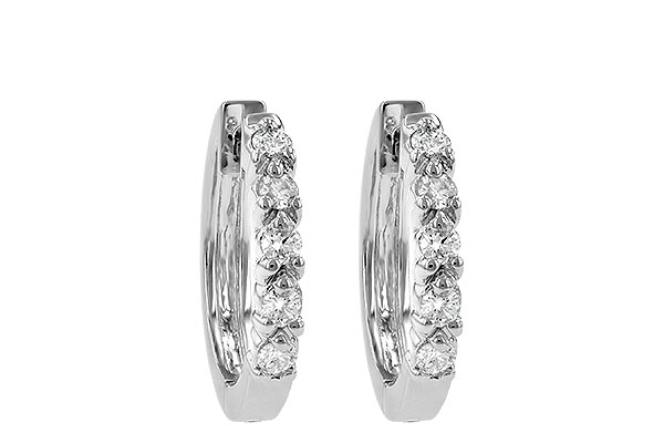 C055-85104: EARRINGS .25 TW