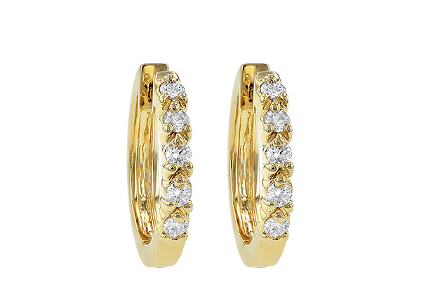 C055-85104: EARRINGS .25 TW