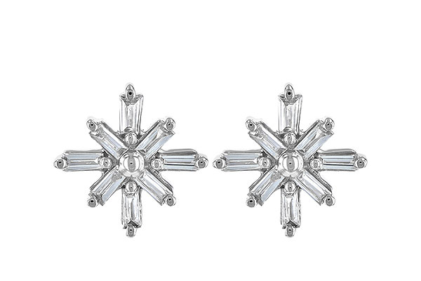 D244-96004: EARR .22 TW BAGUETTES