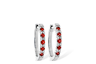 E244-95167: EARR .24 RUBY .30 TGW