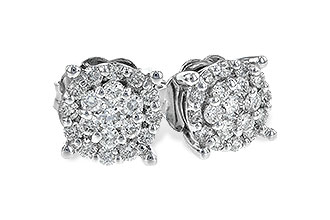L244-07876: EARR .25 TW